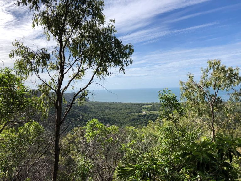 green trees on mountain under blue sky during daytime