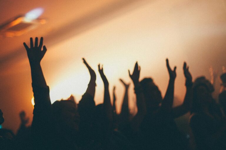 A crowd of people with arms raised in a dimly lit concert venue