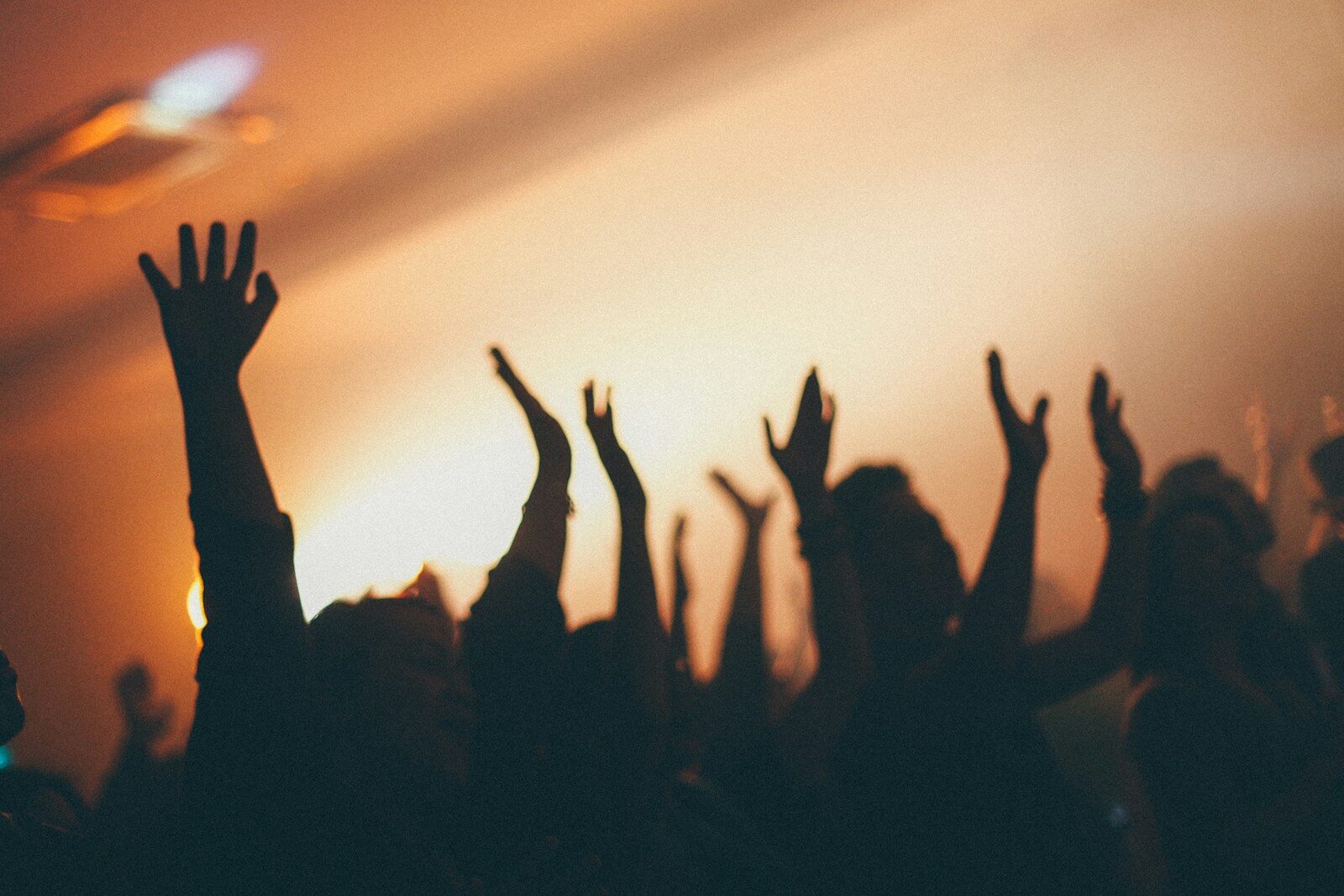 A crowd of people with arms raised in a dimly lit concert venue